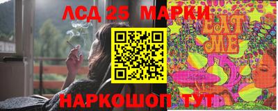 стаф Сланцы