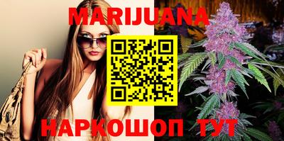 стаф Сланцы