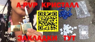 стаф Сланцы