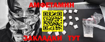 стаф Сланцы