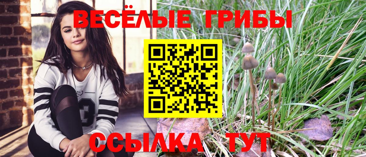 Псилоцибиновые грибы Psilocybine cubensis  Псилоцибиновые грибы GOLDEN TEACHER  дарнет шоп  Серпухов  Вход с VPN 