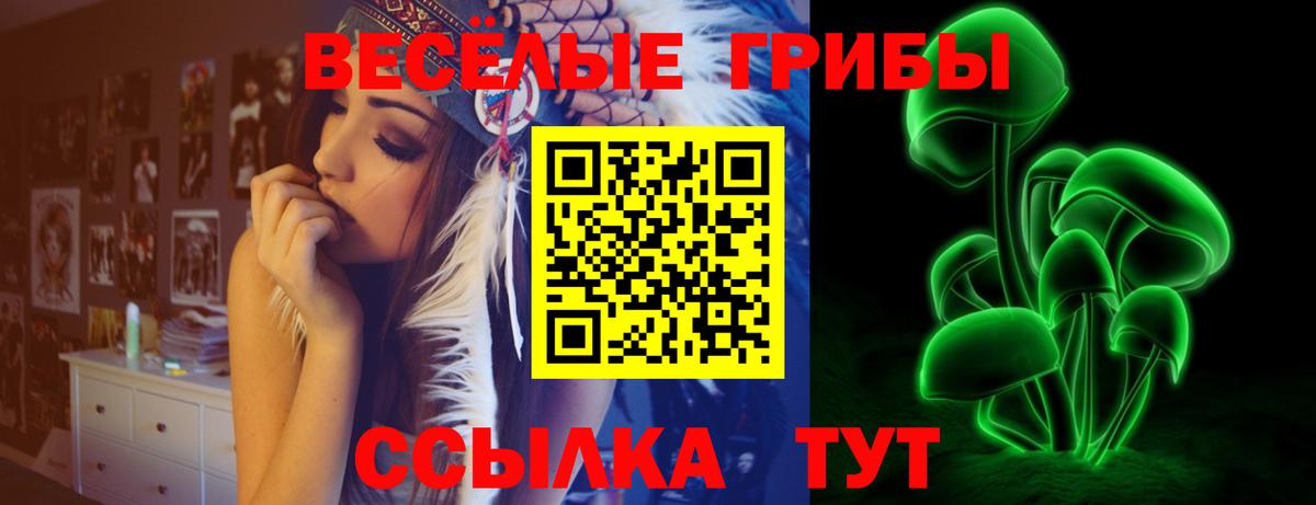 Псилоцибиновые грибы GOLDEN TEACHER Серпухов